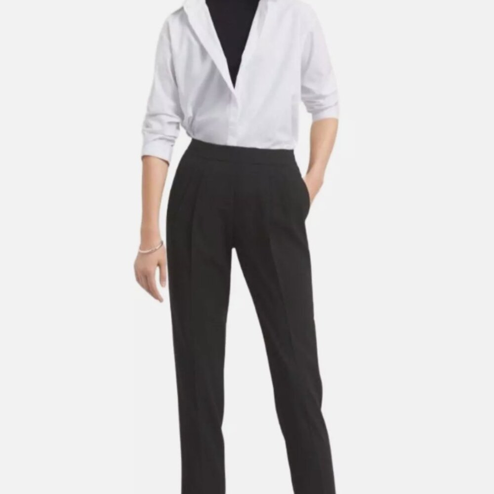 Aritzia Babaton COHEN PANT TWILL